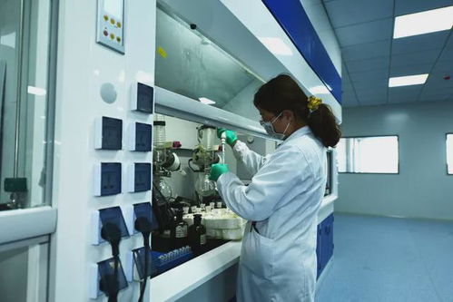 科技創(chuàng)新引領(lǐng)，為石島高質(zhì)量發(fā)展強(qiáng)基賦能 聚焦集成電路芯片設(shè)計(jì)及服務(wù)